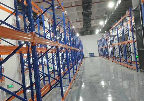 浙江大冢制藥有限公司-重型貨架項目